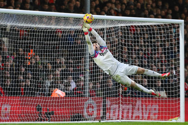 体育组织对 体育组织对